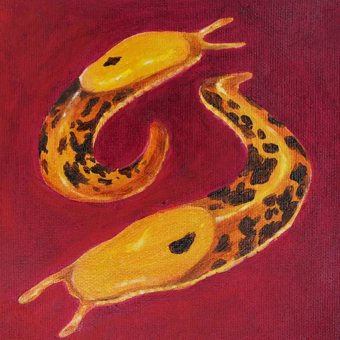 Anonymous artwork #240 from Art Incognito 2026 at The Beaumont Studios