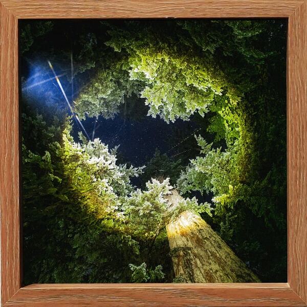 Anonymous artwork #140 from Art Incognito 2025 at The Beaumont Studios